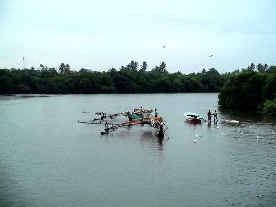 01_negombo_sri_lanka Flussfischer