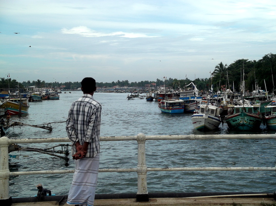 01_negombo_sri_lanka Blick auf den Fluss