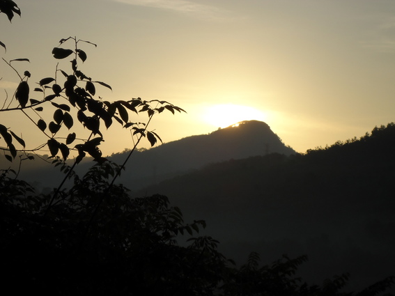 02_gonagaldeniya_sri_lanka