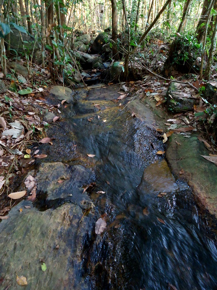 02_gonagaldeniya_sri_lanka