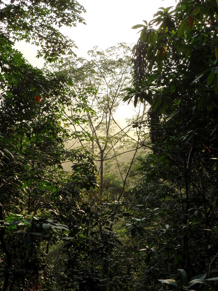 02_gonagaldeniya_sri_lanka