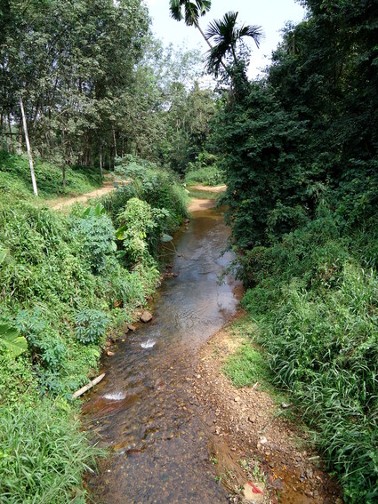 02_gonagaldeniya_sri_lanka