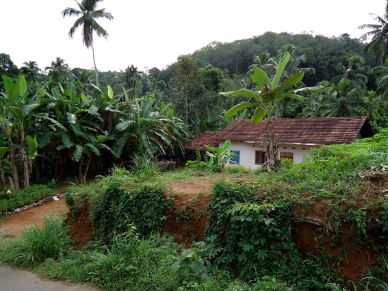 02_gonagaldeniya_sri_lanka