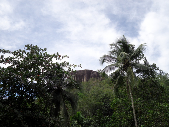 02_gonagaldeniya_sri_lanka