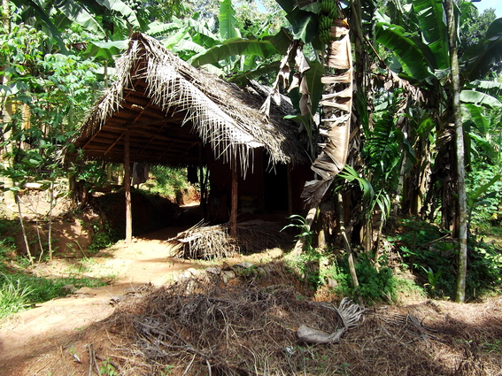 02_gonagaldeniya_sri_lanka