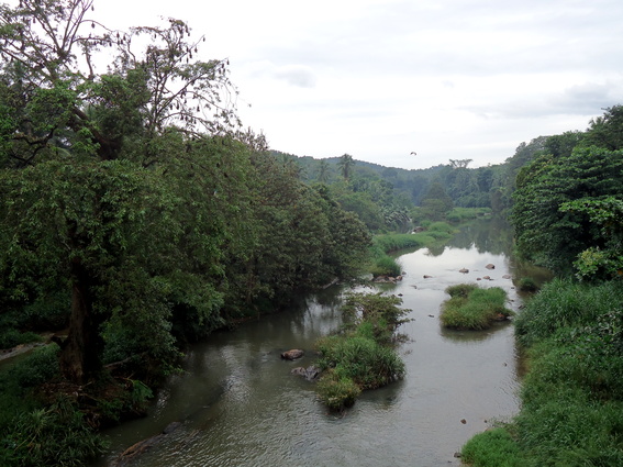 03_nach_Kandy_sri_lanka