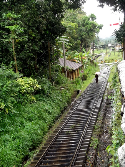 03_nach_Kandy_sri_lanka