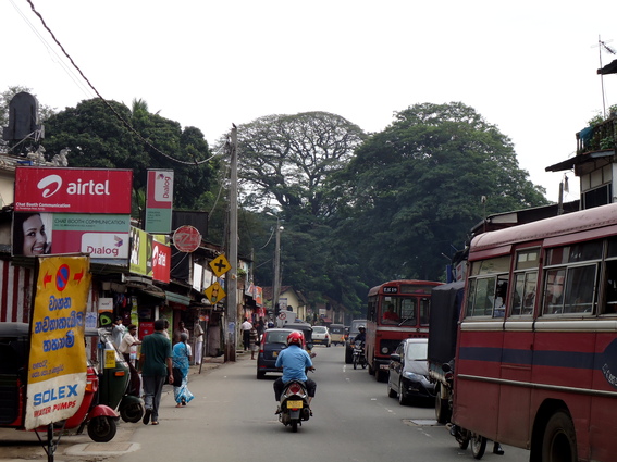 03_nach_Kandy_sri_lanka