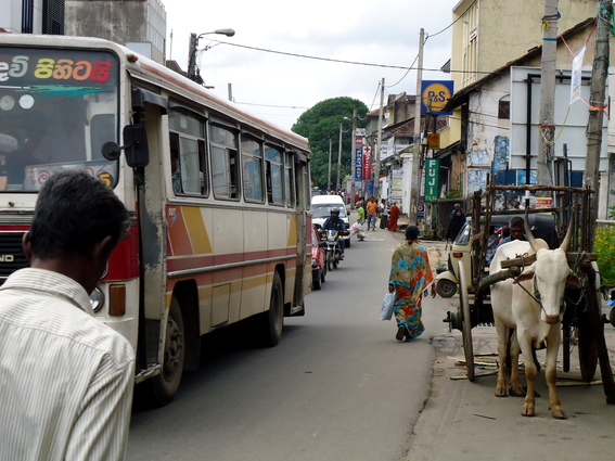 03_nach_Kandy_sri_lanka