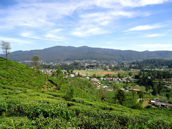 05_hochland_sri_lanka