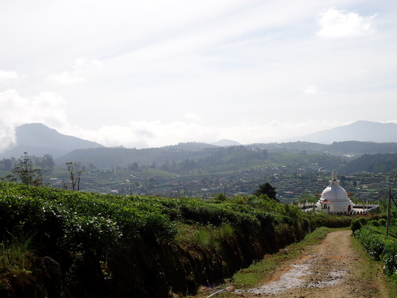 05_hochland_sri_lanka