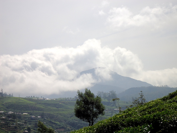 05_hochland_sri_lanka