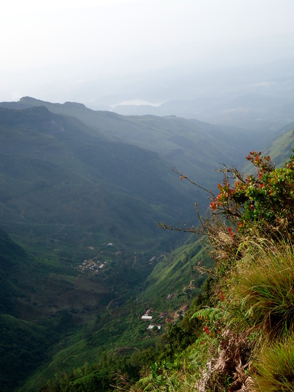 05_hochland_sri_lanka