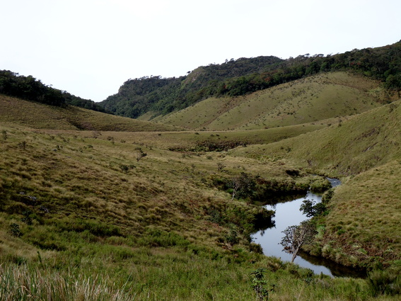 05_hochland_sri_lanka