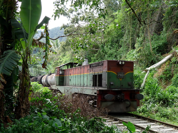 05_hochland_sri_lanka
      