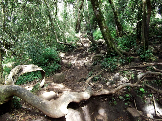 05_hochland_sri_lanka