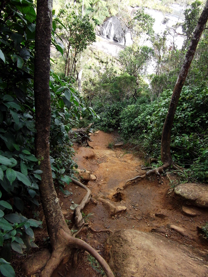 05_hochland_sri_lanka
      