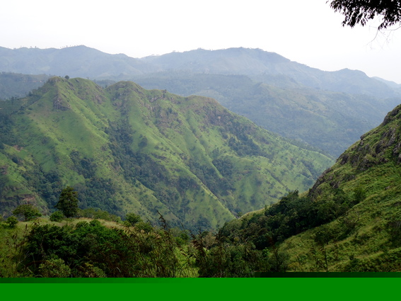 05_hochland_sri_lanka
      