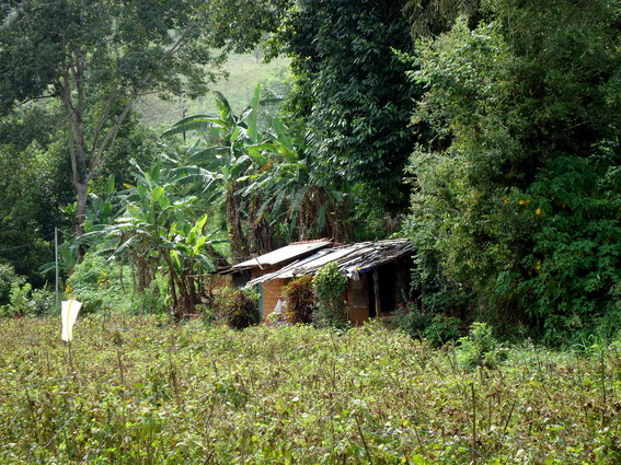 05_hochland_sri_lanka
      