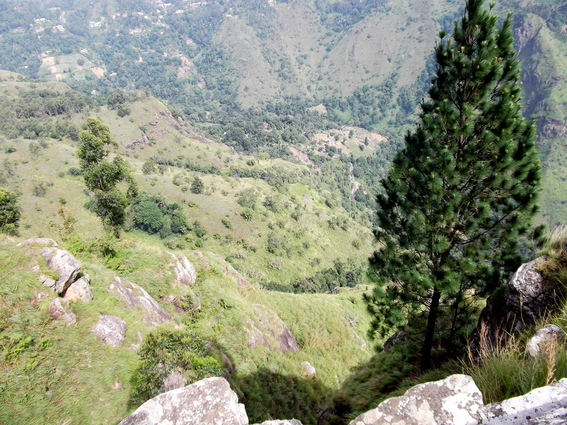 05_hochland_sri_lanka
      