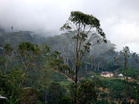 05_hochland_sri_lanka