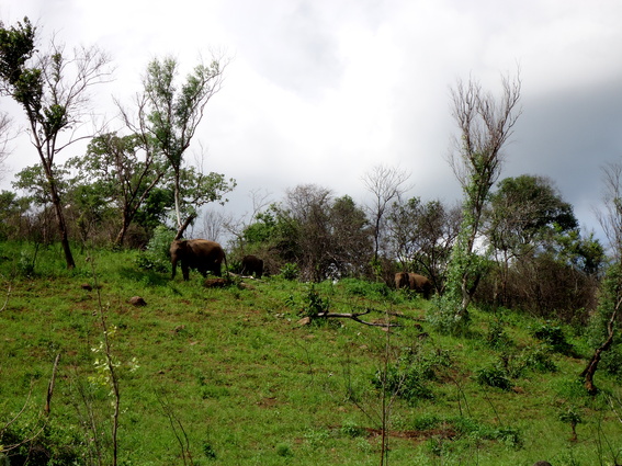 06_trincomalee_sri_lanka