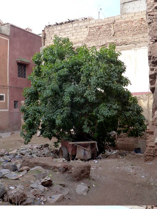 Altstadt Marrakesch Baulücke