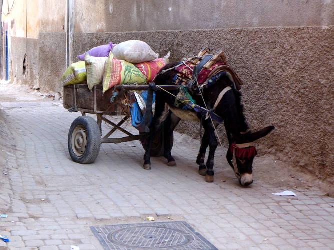 Marrakesch Medina Transport