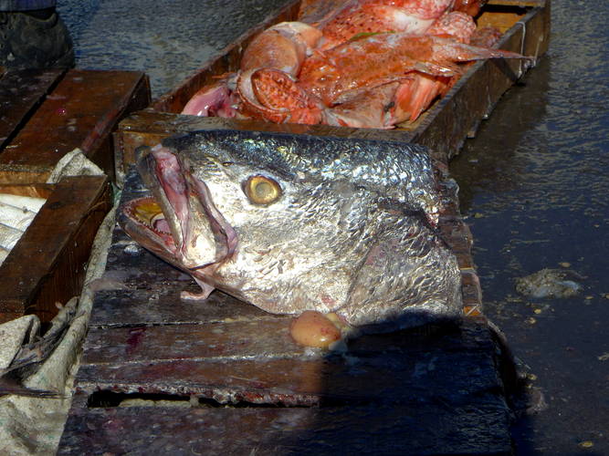 Hafen Fisch Verkauf
      