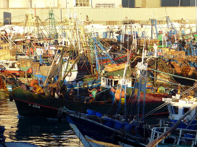 Fischerboote im Hafen