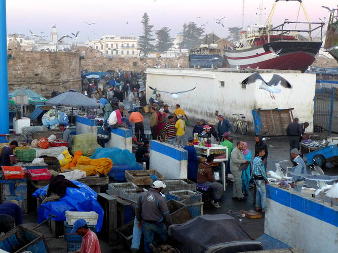 Essaouira Fischereihafen