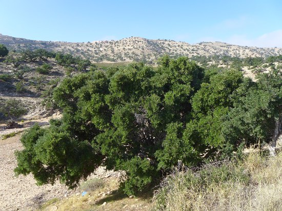 02_alltag in trabzini
      