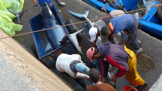 02_alltag in trabzini