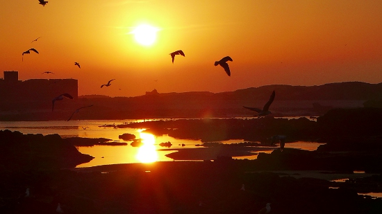 02_alltag in trabzini