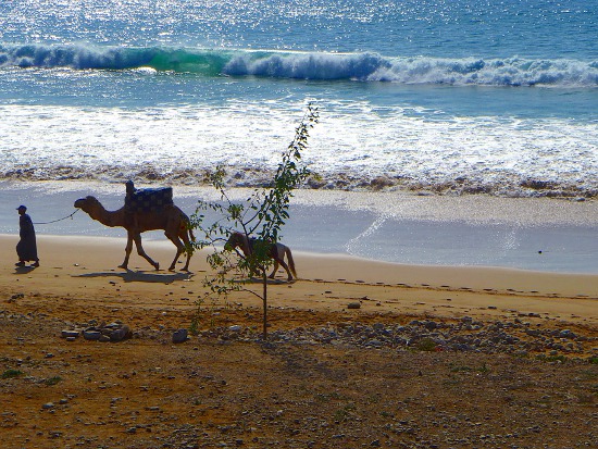 02_alltag in trabzini