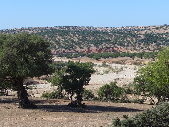 02_alltag in trabzini