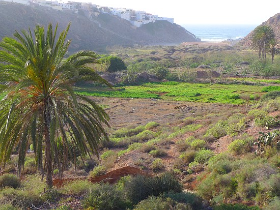 04_Weiterfahrt nach Mirleft