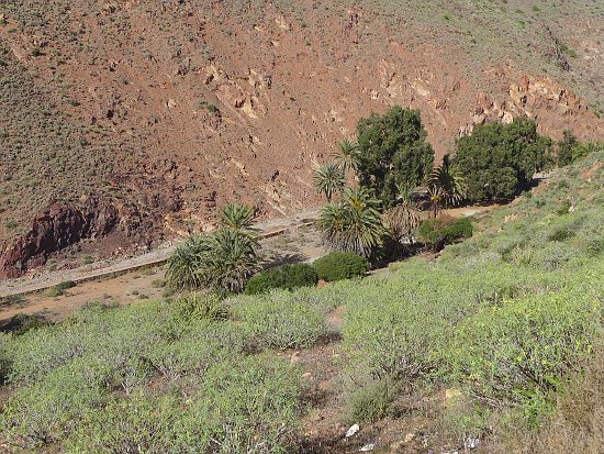 04_Weiterfahrt nach Mirleft