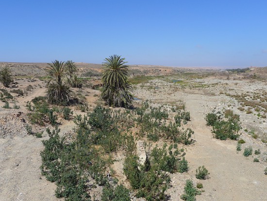 04_Weiterfahrt nach Mirleft