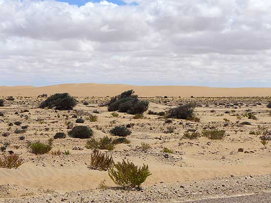 05_westsahara
