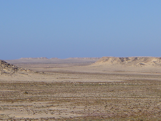 05_westsahara