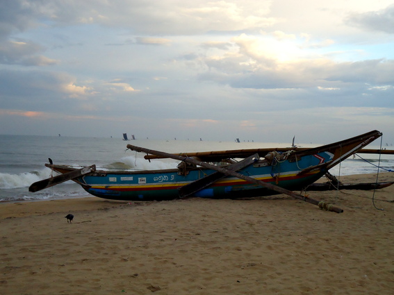 01_negombo_sri_lanka Fischerboote am Strand
      