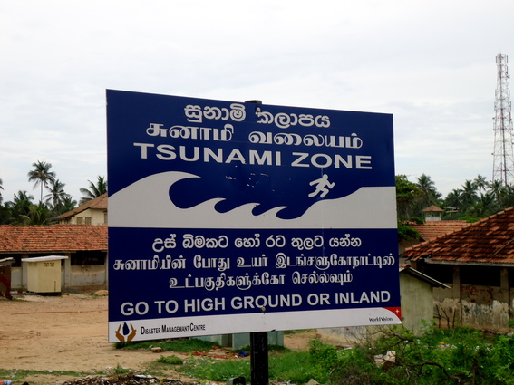 01_negombo_sri_lanka Tsunami-Warnschild am Strand
