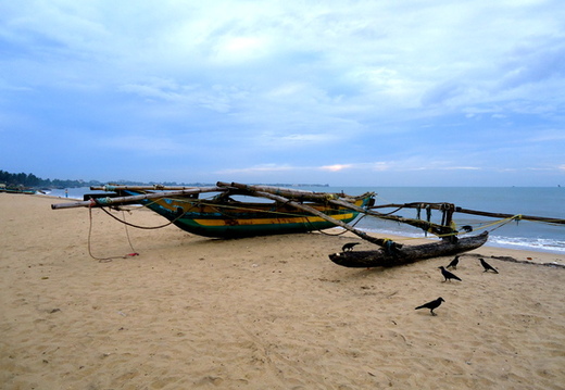 01_negombo_sri_lanka Fischerboote am Strand