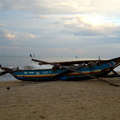 01_negombo_sri_lanka Fischerboote am Strand