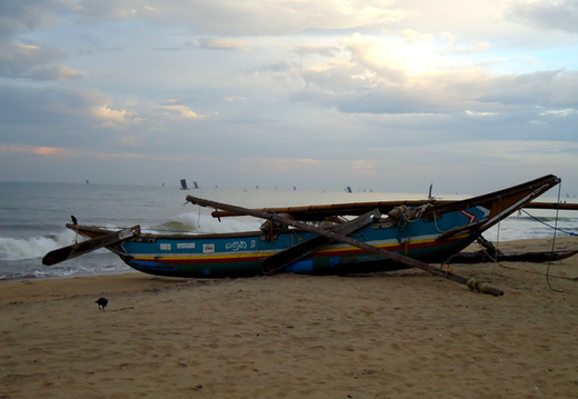 01_negombo_sri_lanka Fischerboote am Strand