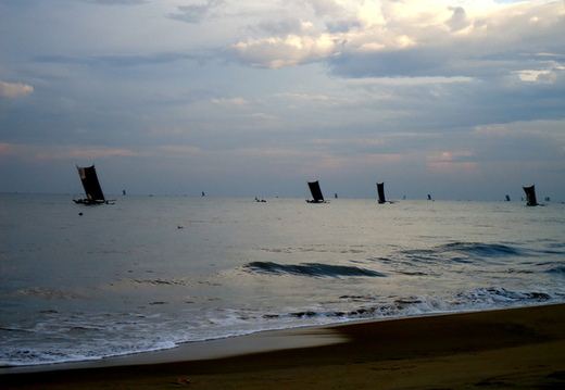 01_negombo_sri_lanka Heimkehr der Fischerboote