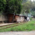 01_negombo_sri_lanka Hütten entlang der Bahngleise