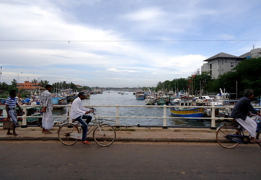 01_negombo_sri_lanka Blick auf den Fluss