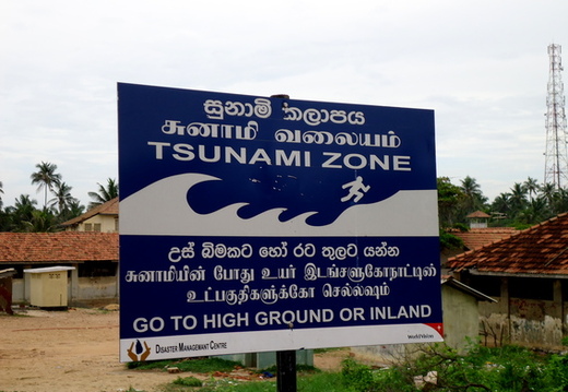 01_negombo_sri_lanka Tsunami-Warnschild am Strand